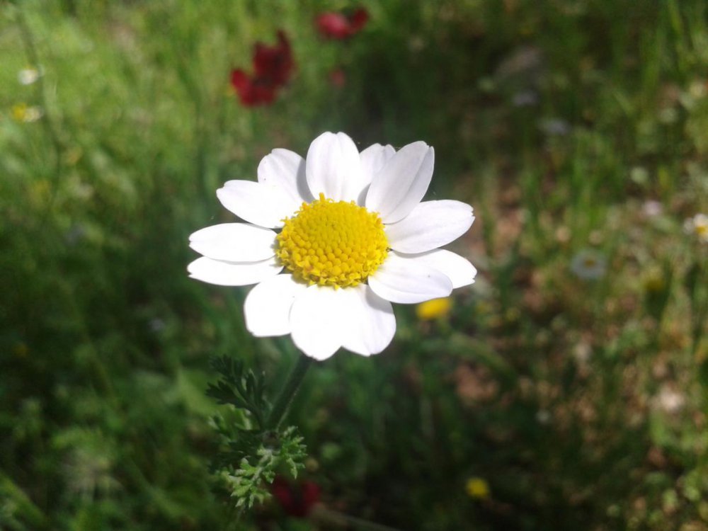 2013-04-03 11.00.24.jpg