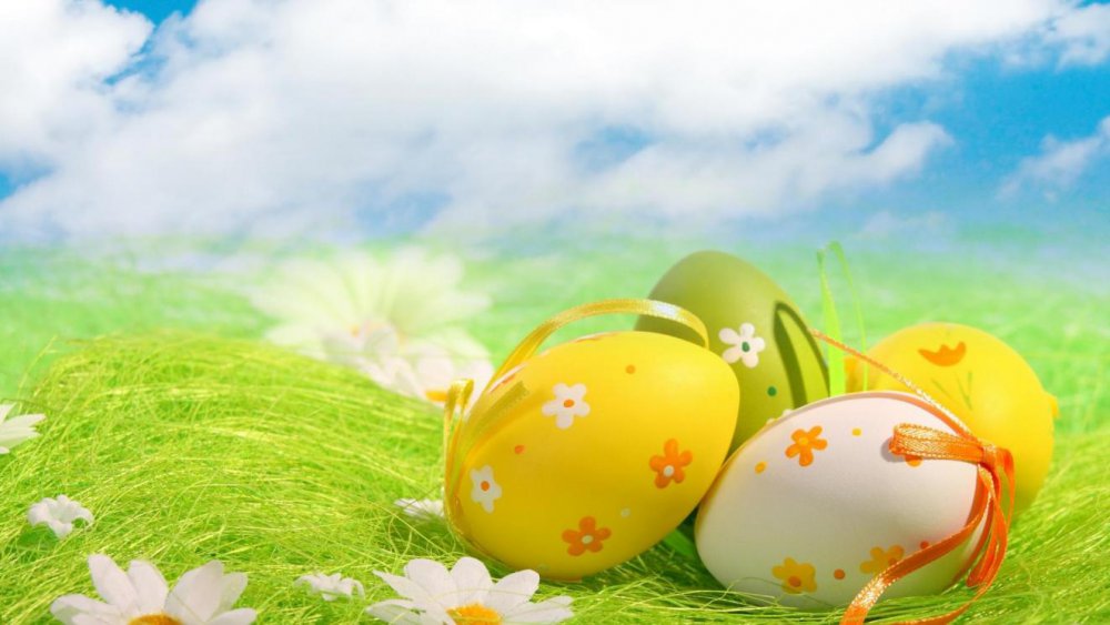 beautiful-beauty-clouds-daisies-daisy-easter-egg-eggs-flowers-grass-green-happy-easter-holiday-h.jpg