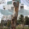 Sa.alizadeh