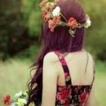 Rose6