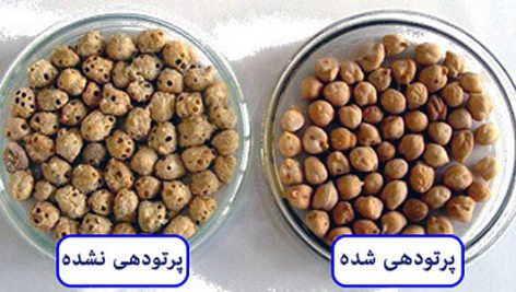 پرتو دهی به مواد غذایی