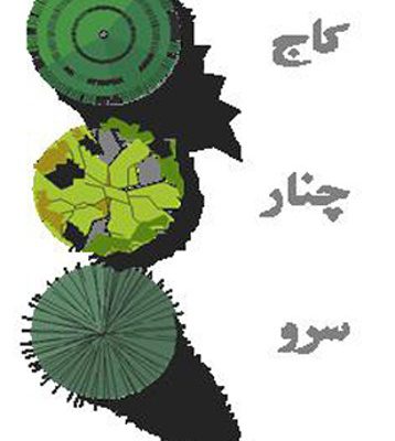 نظام کاشت درختان در باغ ایرانی