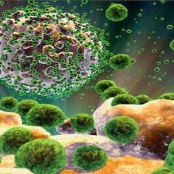 نقش پلیمرهای زیستی در صنایع آینده