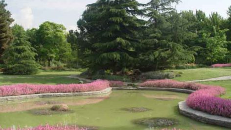 باغ گیاه شناسی Botanic Garden