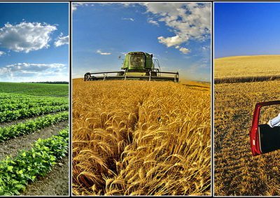 نقش اقلیم بر عملکرد محصولات زراعی