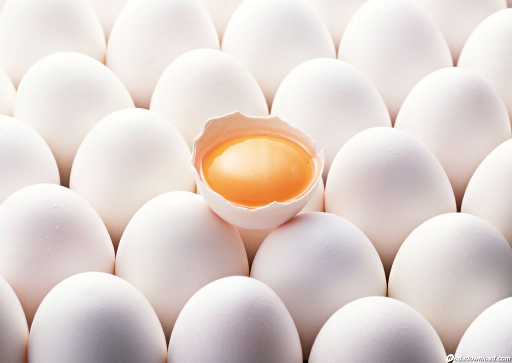 کیفیت تخم مرغ