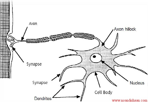 شبکه عصبي مصنوعي