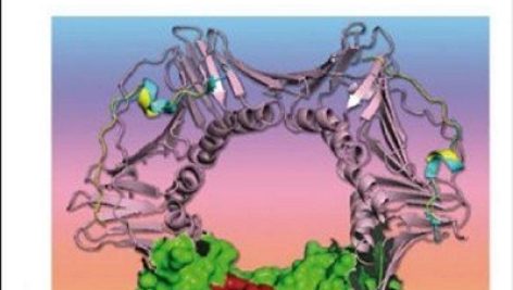 Molecular Themes in DNA Replication