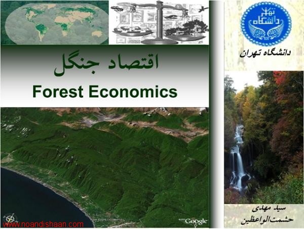 اقتصاد جنگل