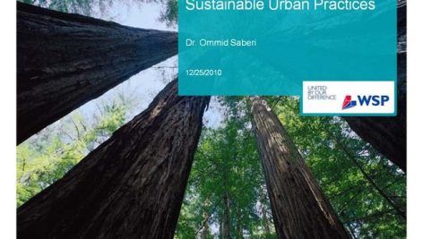 Sustainable Urban Practices