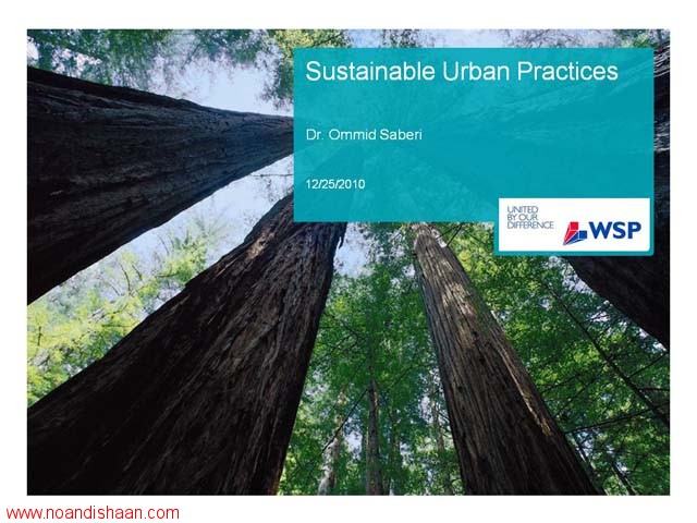 Sustainable Urban Practices