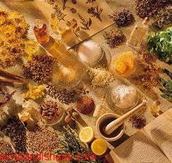 گیاهان آرایشی