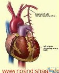 آموزش فیزیولوژی جانوری