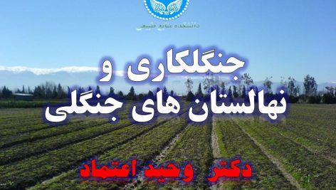 جنگلکاری و نهالستانهای جنگلی