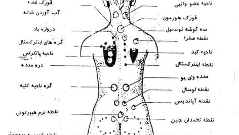 طب اسلامی