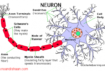 جزوه شبکه های عصبی