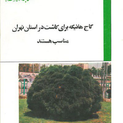 کتاب درختان کاج مناسب تهران