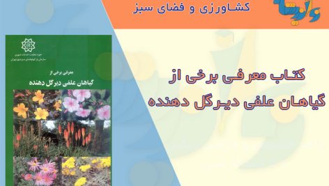 کتاب معرفی گیاهان علفی دیر گل دهنده