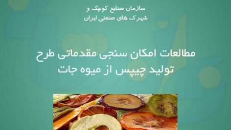 تولید چیپس از میوه جات