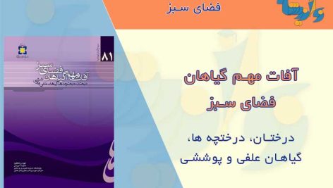 کتاب آفات مهم گیاهان فضای سبز