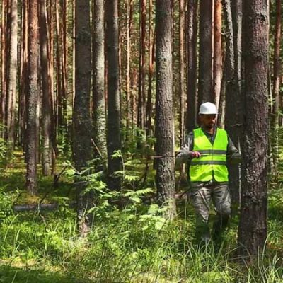 جزوه اصول مهندسی جنگل