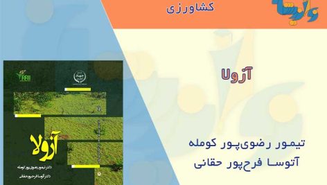 کتاب آزولا