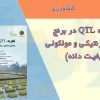 کتاب تجزیه QTL در برنج