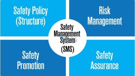 سیستم مدیریت ایمنی