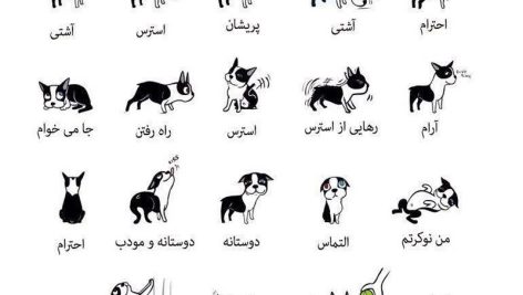 رفتارشناسی سگ ها