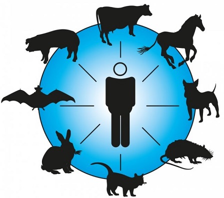 بیماریهای مشترک انسان و حیوان