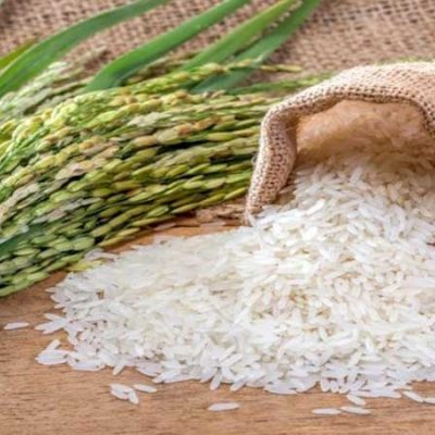 دستورالعمل تولید برنج سالم