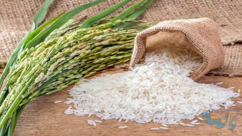 دستورالعمل تولید برنج سالم