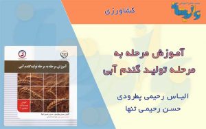 آموزش تولید گندم آبی