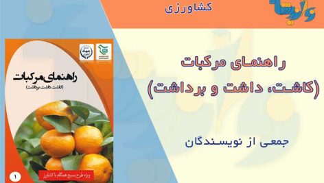 راهنمای کاشت مرکبات