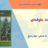 کتاب ذرت علوفه ای