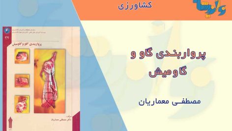 کتاب پرواربندی گاو و گاومیش