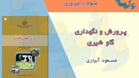 پرورش گاو شیری