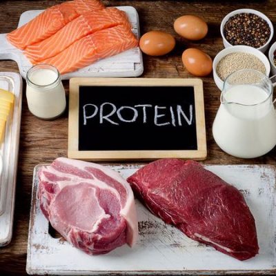 ماده غذایی پروتئین گیاهی و جانوری