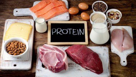 ماده غذایی پروتئین گیاهی و جانوری